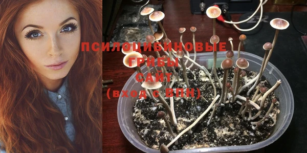 меф Абаза