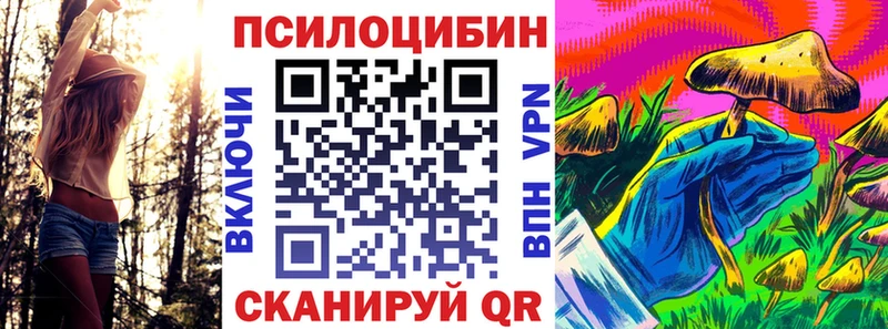 закладка  Алзамай  Псилоцибиновые грибы MAGIC MUSHROOMS 